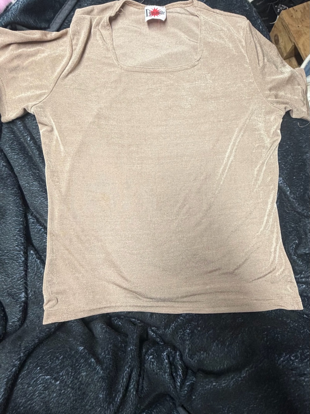 Dynamite Shimmery Tan Short Sleeve Scoop Neck Top